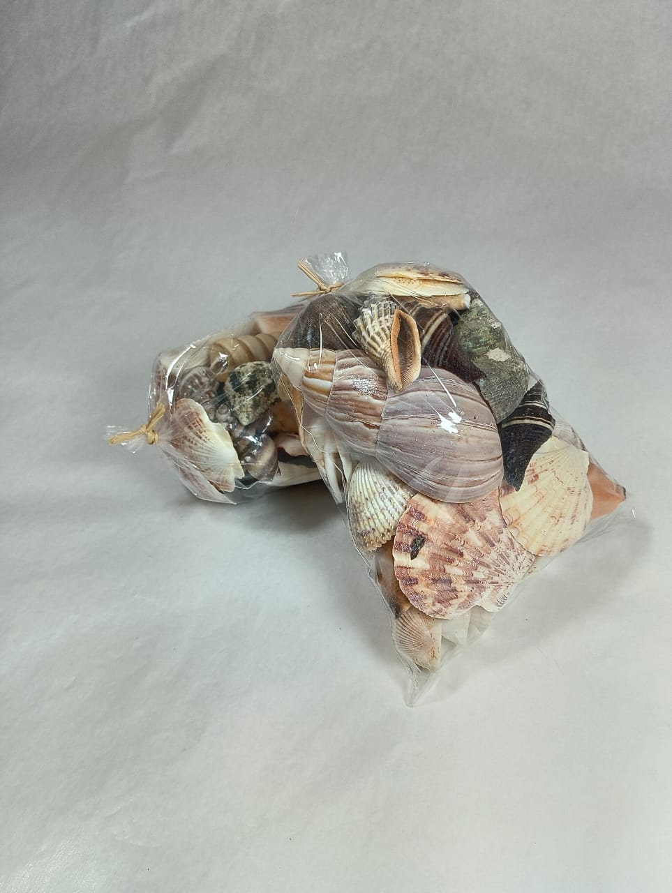 PCT Mix de Conchas